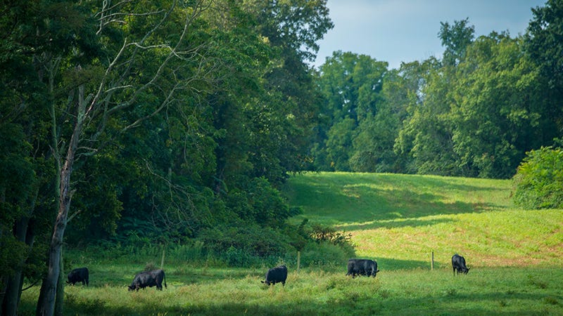 conservation-reserve-program-grasslands-sign-up-open-michigan-farm-news