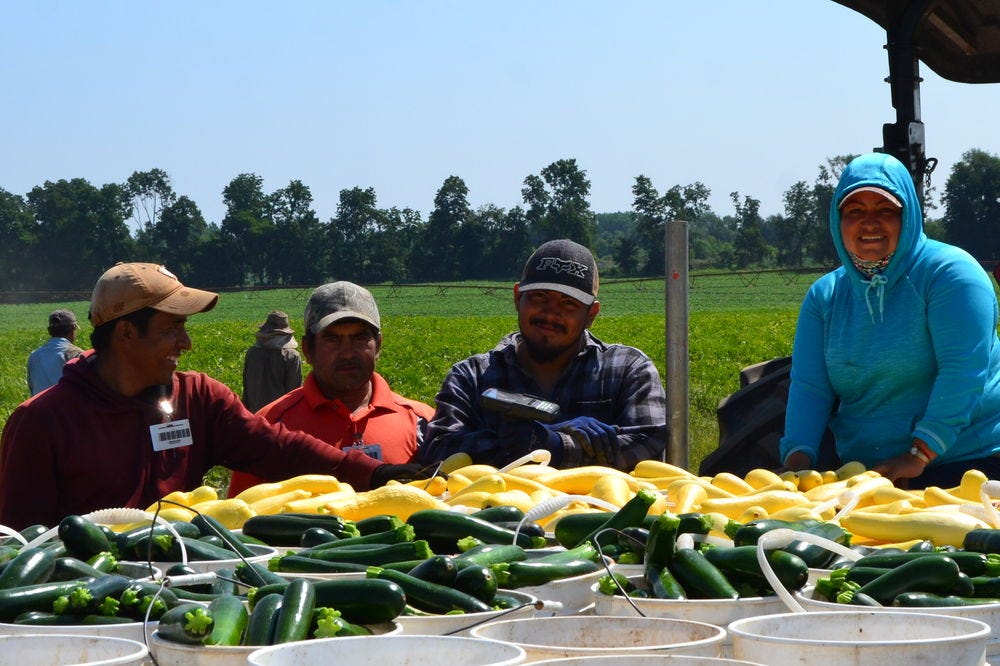 Acmoody Farms Named Red Gold Master Grower Tomato Grower Of The Year Michigan Farm News