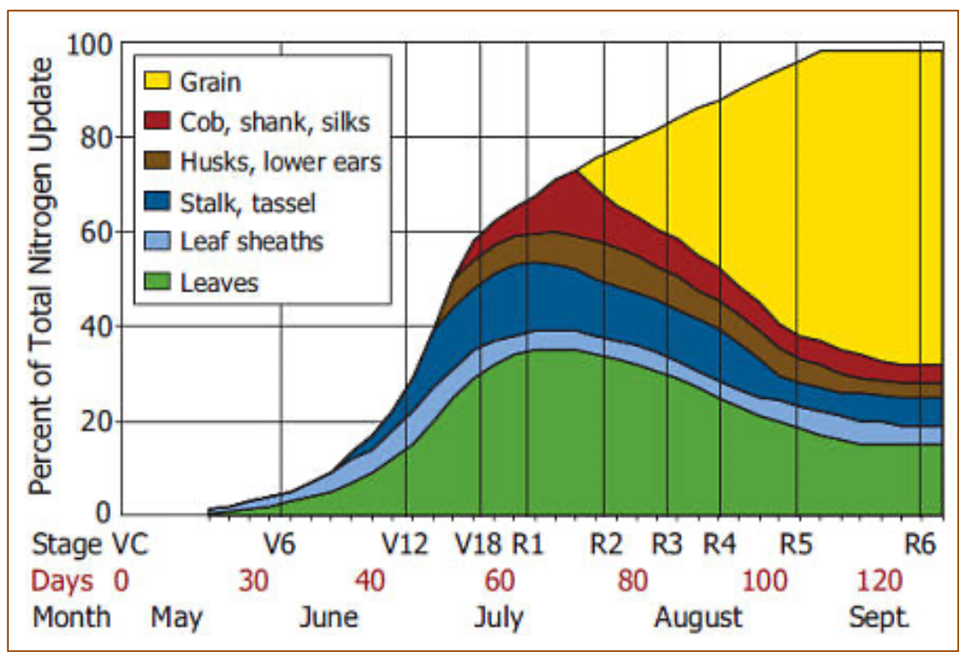 Assessing and managing nitrogen losses in corn Michigan Farm News