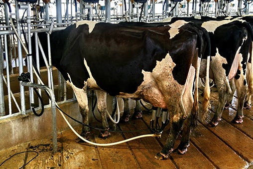 Are MPP dairy improvements on the way? - Michigan Farm News