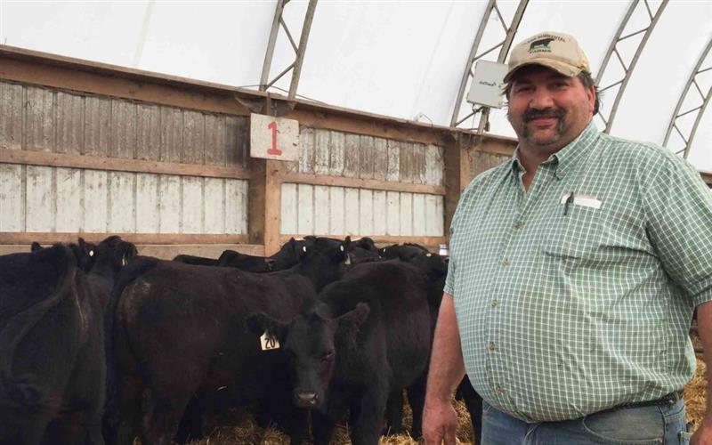 Brian Plank, a fixture in Michigan cattle’s industry, dies at 50 ...