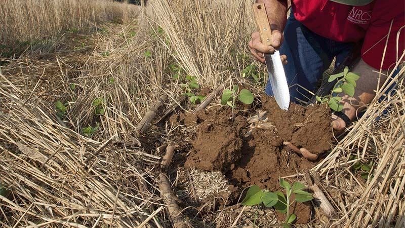 USDA Invests $1B In Voluntary 'climate-smart' Commodities Program ...