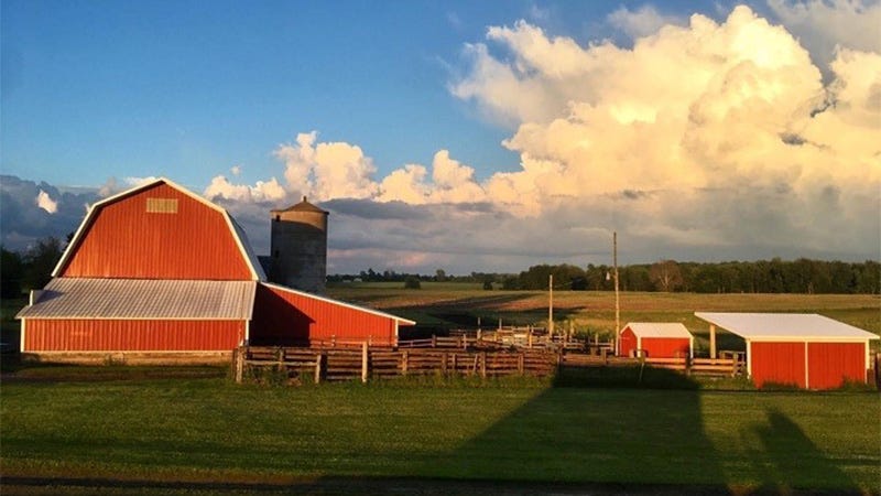 Michigan's small, local meat processors enter new grant world ...