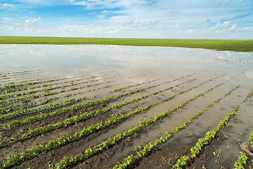 Application period opens for flooding relief - Michigan Farm News