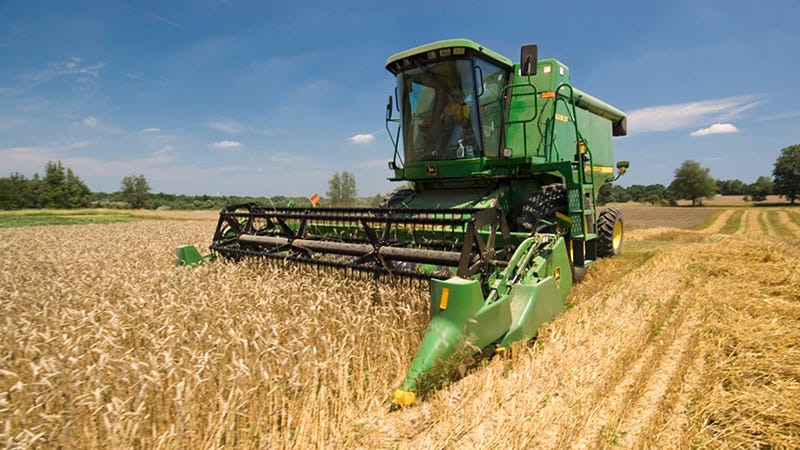 'Excellent yields and crop quality' for Michigan wheat harvest, oat ...