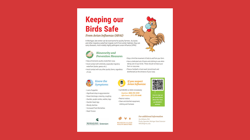 Avian Influenza Posters To Highlight Disease Dangers Available From Mfb Michigan Farm News 