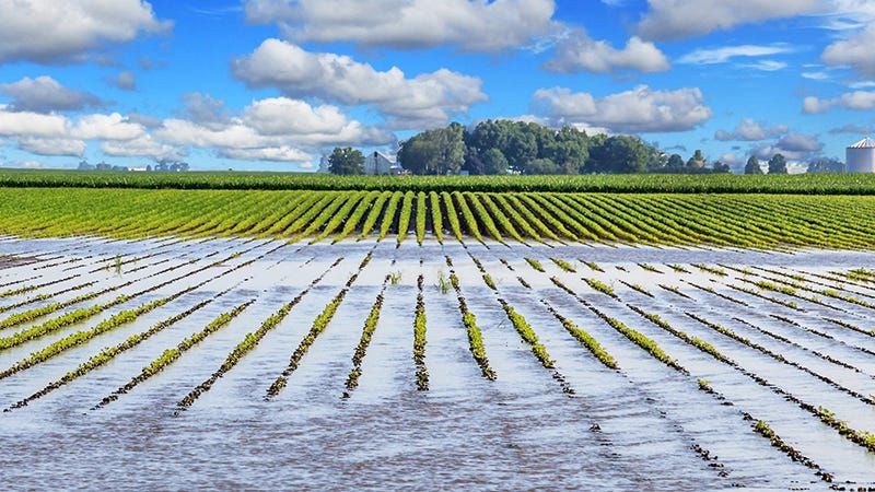 Michigans ‘agricultural Climate Resiliency Program To Address Long