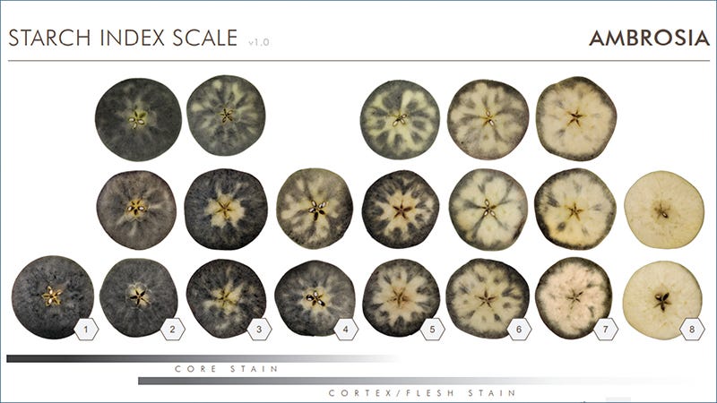 Msu Extension Debuts Starch Charts For Evaluating The Maturity Of Apple