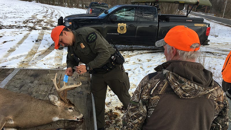 Top 10 Best Practices For Firearm Deer Season - Michigan Farm News